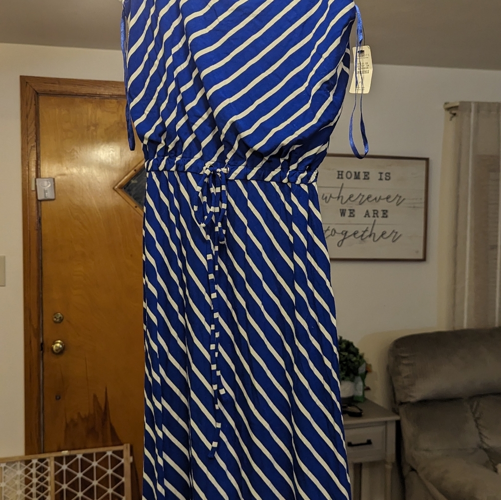 NWT Talbot's dress